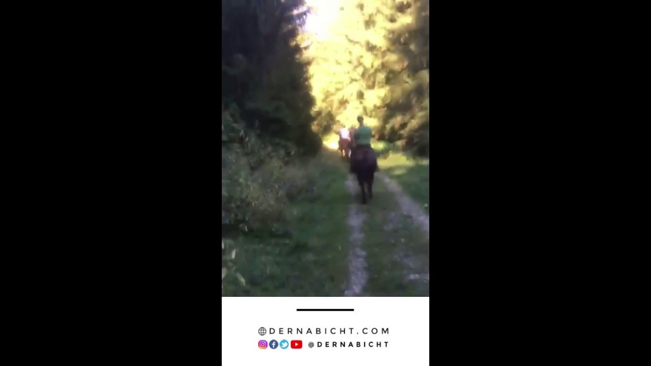 Erlebnis Reiten! / Im Galopp durch den Wald