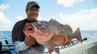 This Grouper is SO RARE Most People Have Never Seen One