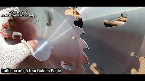 Lưỡi cưa hợp kim xẻ gỗ tươi / Lưỡi cưa gỗ Golden Eagle / Golden Eagle Strob Saw Blade