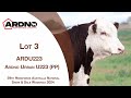 Lot 3 ardno urban t223 pp