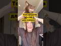 ТОП средств с ВБ для собаки