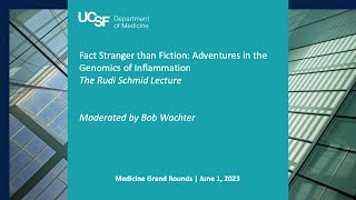 Fact Stranger than Fiction: Adventures in the Genomics of Inflammation