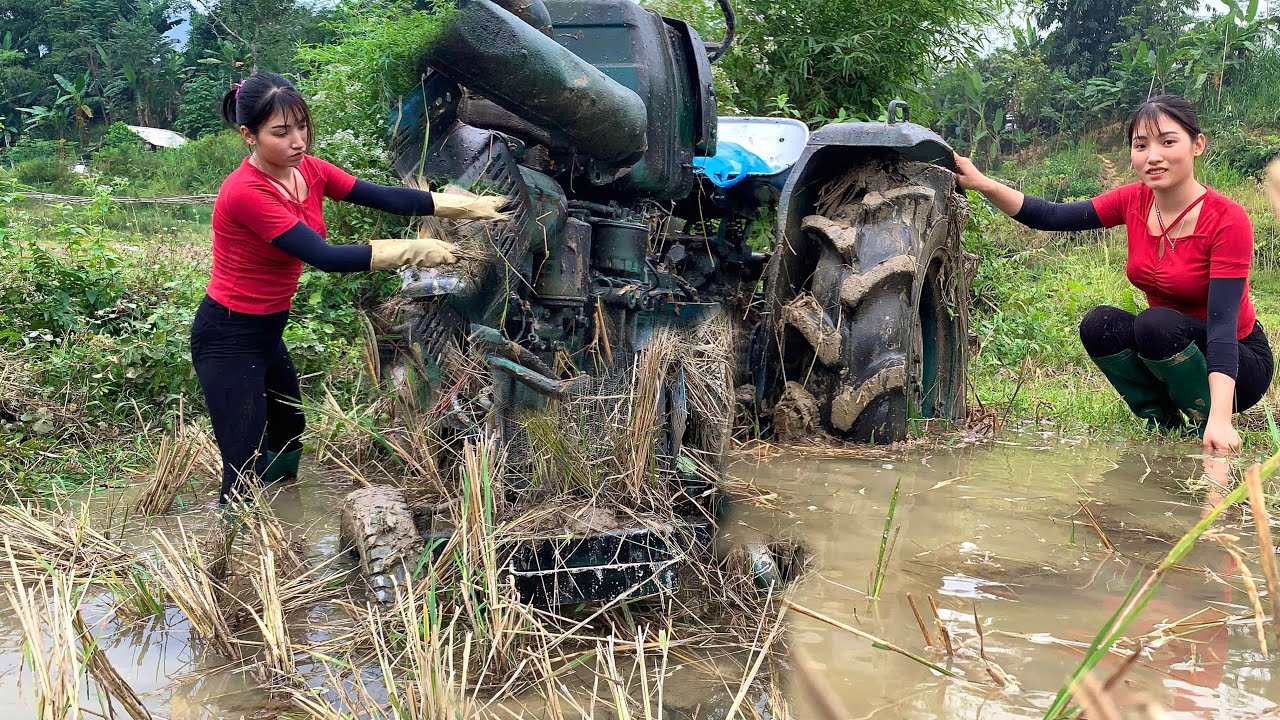 A tractor was left in the field for a long time. The girl is going to pull it out of the mud.