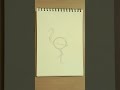 طريقة رسم الفلامنكو