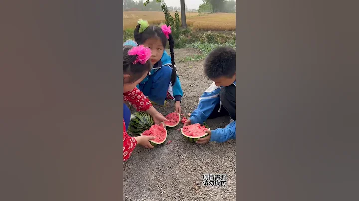 “We Tried Stealing Watermelons and Got Caught! 😂🍉#funny #viralvideo