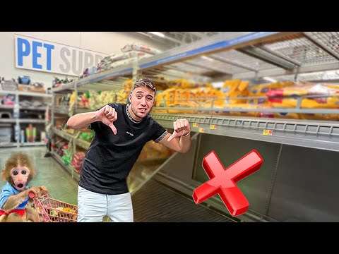 Vídeo: Por que o Walmart parou de vender peixe?