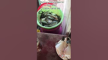 DV câu cá giải trí Vân đồn  Báo cá hn