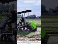 Rice Transplanter in Action – The Machine That Replaces Bent Backs 🌾🚜