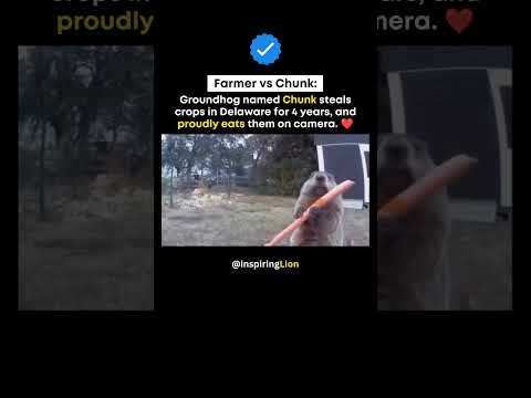 The way he pops into frame with the apple. 🍎 😂