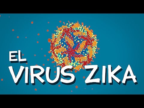 Video: Il Virus Zika è Stato Dichiarato Una Minaccia A Lungo Termine Per L'umanità - Visualizzazione Alternativa