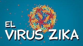 ¿Qué sabemos del virus Zika? Resimi