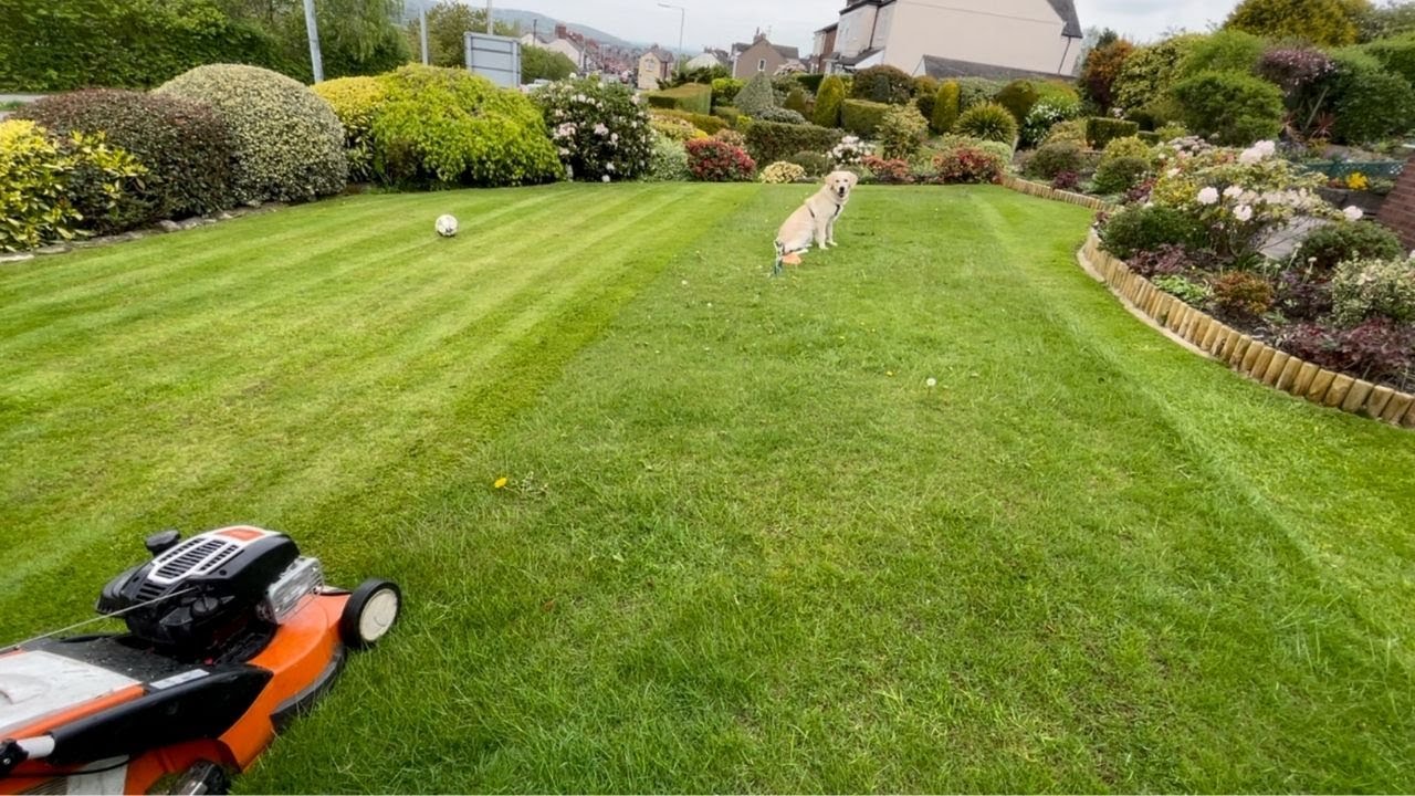 Just A Typical Grass Cutting Job. YouTube