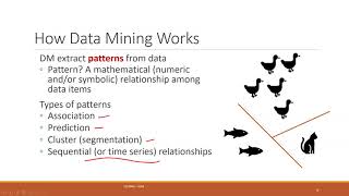 25_CIS3060 - Data Mining Process 01