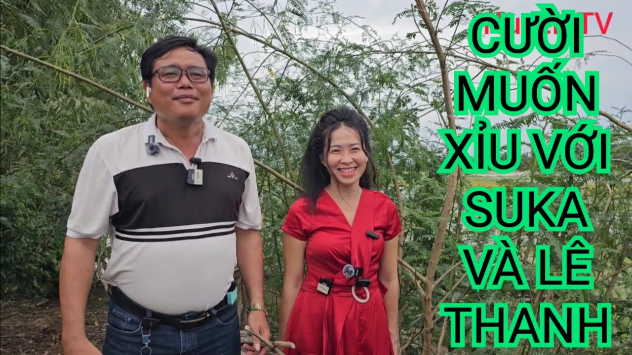 SUKA LÊ THANH HÁT BÀI NÀY CƯỜI MUỐN XỈU