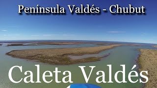 Argentina desde arriba - Caleta Valdés