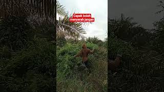 semangat kerja hari ini #shortvideo #viral #shorts #bangrsph