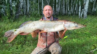 видео: Щука на каждом забросе. Щука на резину или Рыбалка 2025. Рыбалка на щуку осенью. Рыбалка с лодки. картинка: Щука на каждом забросе. Щука на резину или Рыбалка 2025. Рыбалка на щуку осенью. Рыбалка с лодки.
