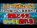 上カゴ反転サビキ釣り、この仕掛けなら漁港湾内で青魚とチヌ（黒鯛　クロダイ）どっちも釣れる