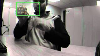 Non-rigid Object Tracking