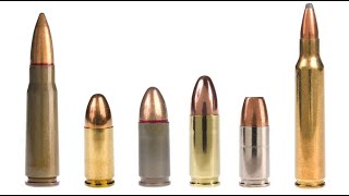 Ammo? Take Your Pick ...