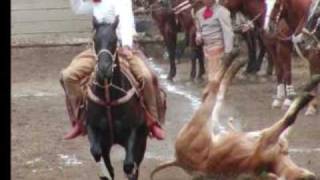 Cheque Pena - La Charreada