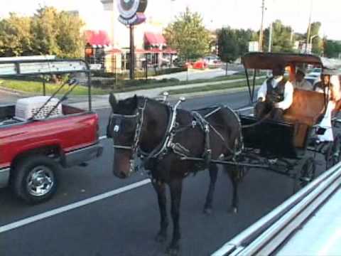 Nasaratu and abubakarr wedding horse and carriage