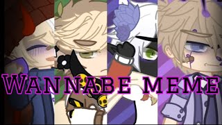 Wannabe meme || DSMP || Flash Warning