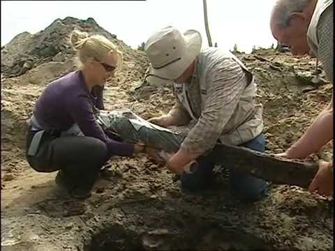 Video: Hoe Weerlegt De Officiële Archeologie De 