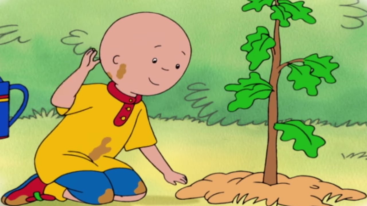 Caillou Full Episodes | CAILLOU PLANTS A TREE | 4 HOUR MEGA COMPILATION | Videos For Kids