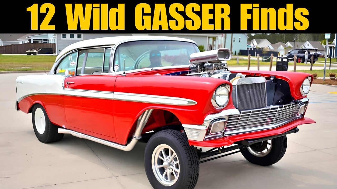 12 Wild GASSERS for Sale! REAL OLD SCHOOL STREET FIGHTERS!