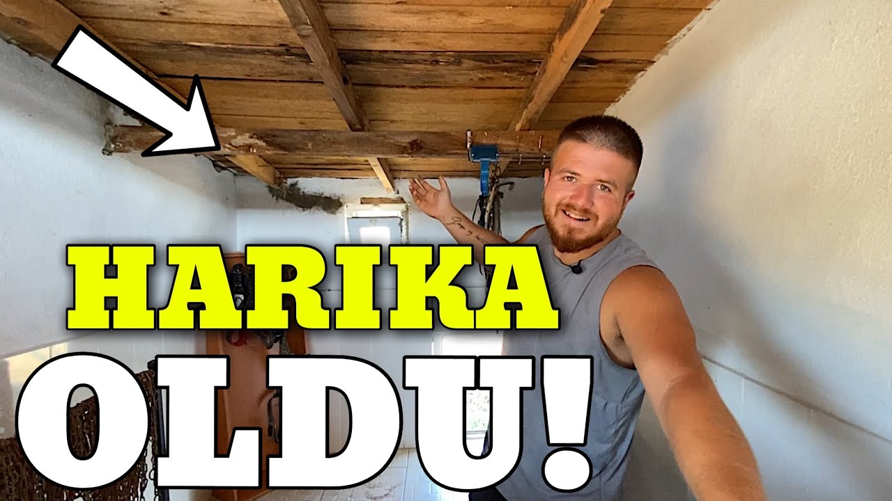 Köpeklerin Eşyaları İçin Özel Oda Hazırladım