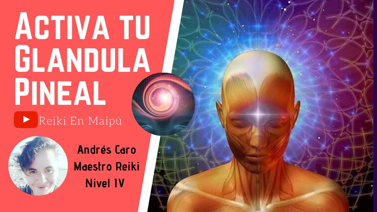 Activacion De La Glandula Pineal Pdf