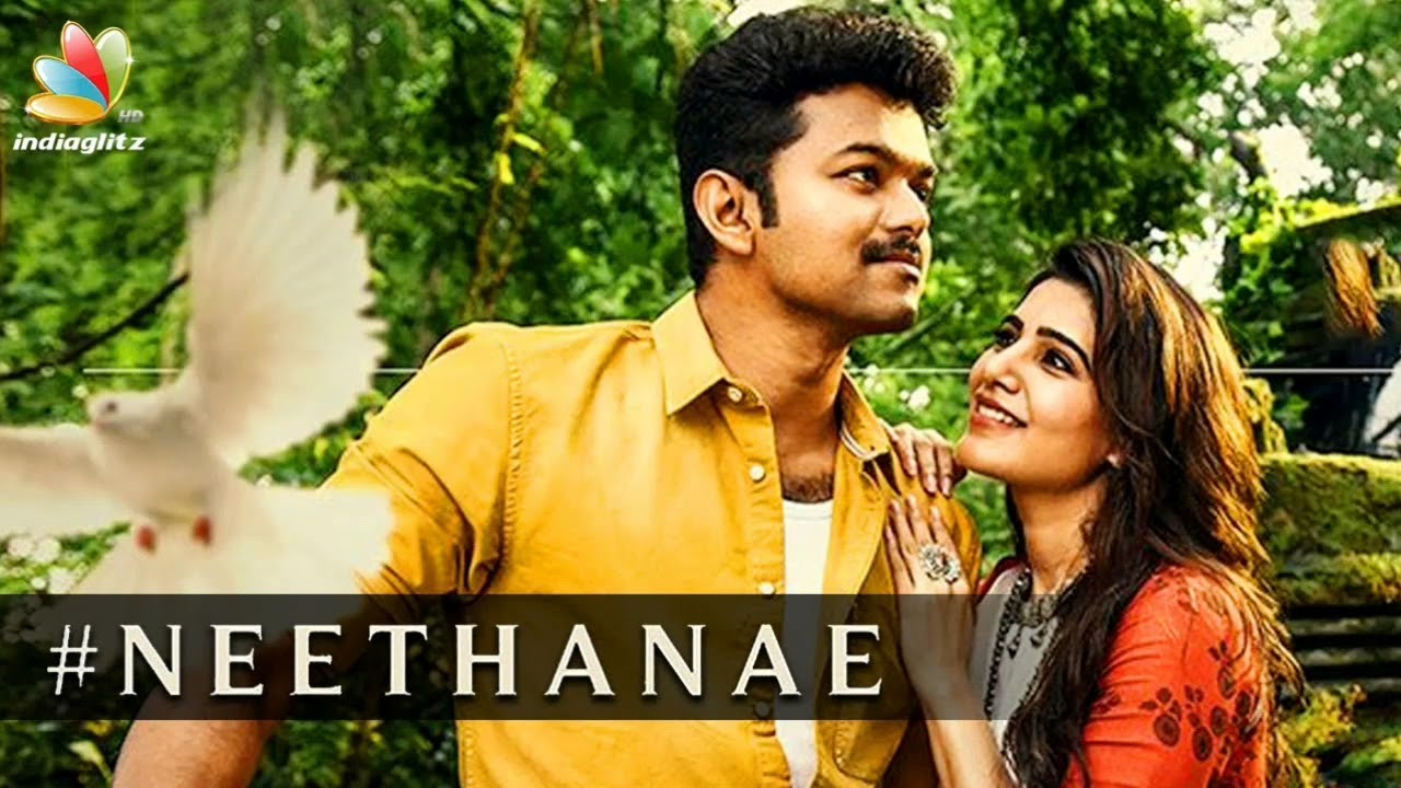 Mersal Neethanae Tamil Video _ Vijay, Samantha _HD Songs