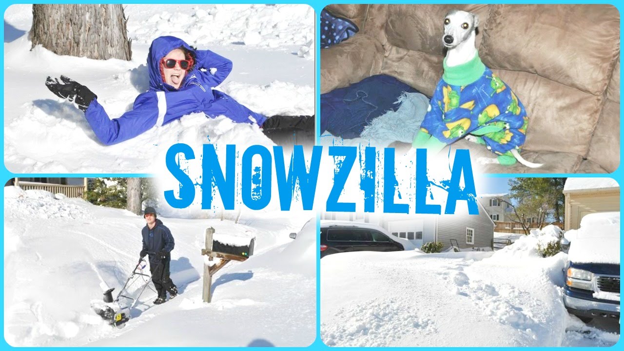 Blizzard 2016 (SNOWZILLA) - YouTube