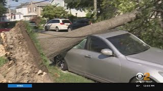 Tropical Storm Isaias: Officials Say More Than 7,000 Power Lines Came Down In NYC