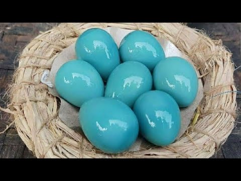 Cara Mudah Merebus Telur Tanpa Retak Merebus telur dijamin retak apalagi pecah kalau sudah ikuti tip. 