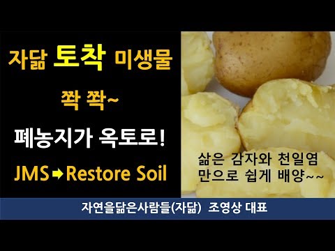 삶은 감자를 이용한 토착미생물 배양액으로 폐농지가 다시 살아나다!  Microorganisms cultivated with boiled potatoes and sea salt