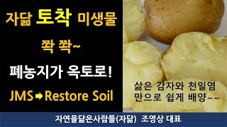 삶은 감자를 이용한 토착미생물 배양액으로 폐농지가 다시 살아나다! Microorganisms cultivated with boiled potatoes and sea salt