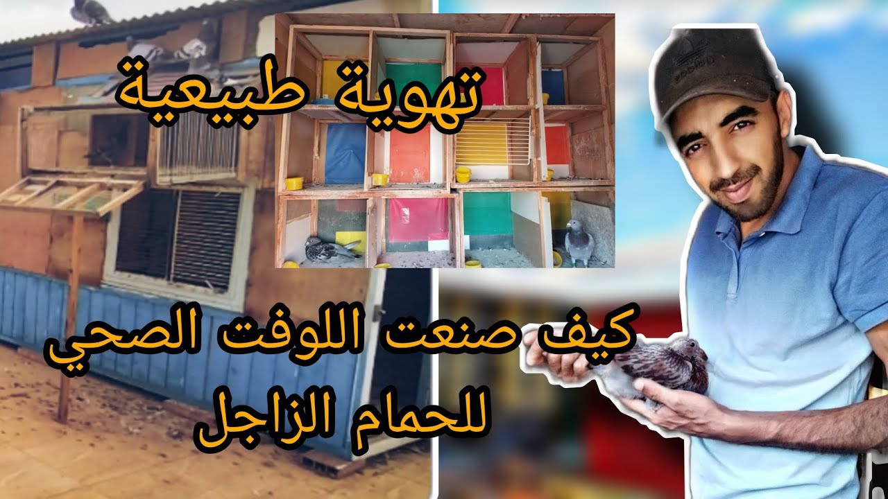 مواصفات اللوفت الصحي للحمام الزاجل. | تهوية طبيعية، اتجاه الصحيح..... توليعة أطلسية 🗻