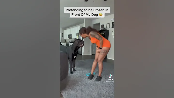 Pretending to be frozen in front of my #CaneCorso 😅🐶 - DayDayNews