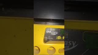 Como funciona una incubadora Industrial Brinsea Ovaeasy