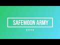 내일! 바이낸스에 상장되는 짤짤이 코인 safemars & safemoon 세이프마스 세이프문