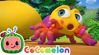 Itsy Bitsy Spider | CoComelon Nursery Rhymes \& Animal Songs