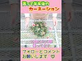 半年後のカーネーション #shorts by園芸チャンネル 490 園芸 ガーデニング 初心者
