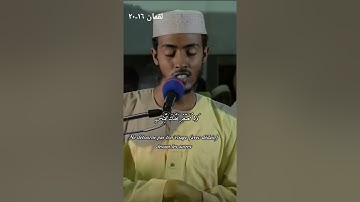 من اجمل ما سمعت سوره لقمان الشيخ عفيف محمد تاج 💚