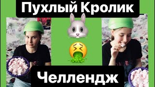 Челлендж ПУХЛЫЙ КРОЛИК с Машей | CoOLGiRL 04