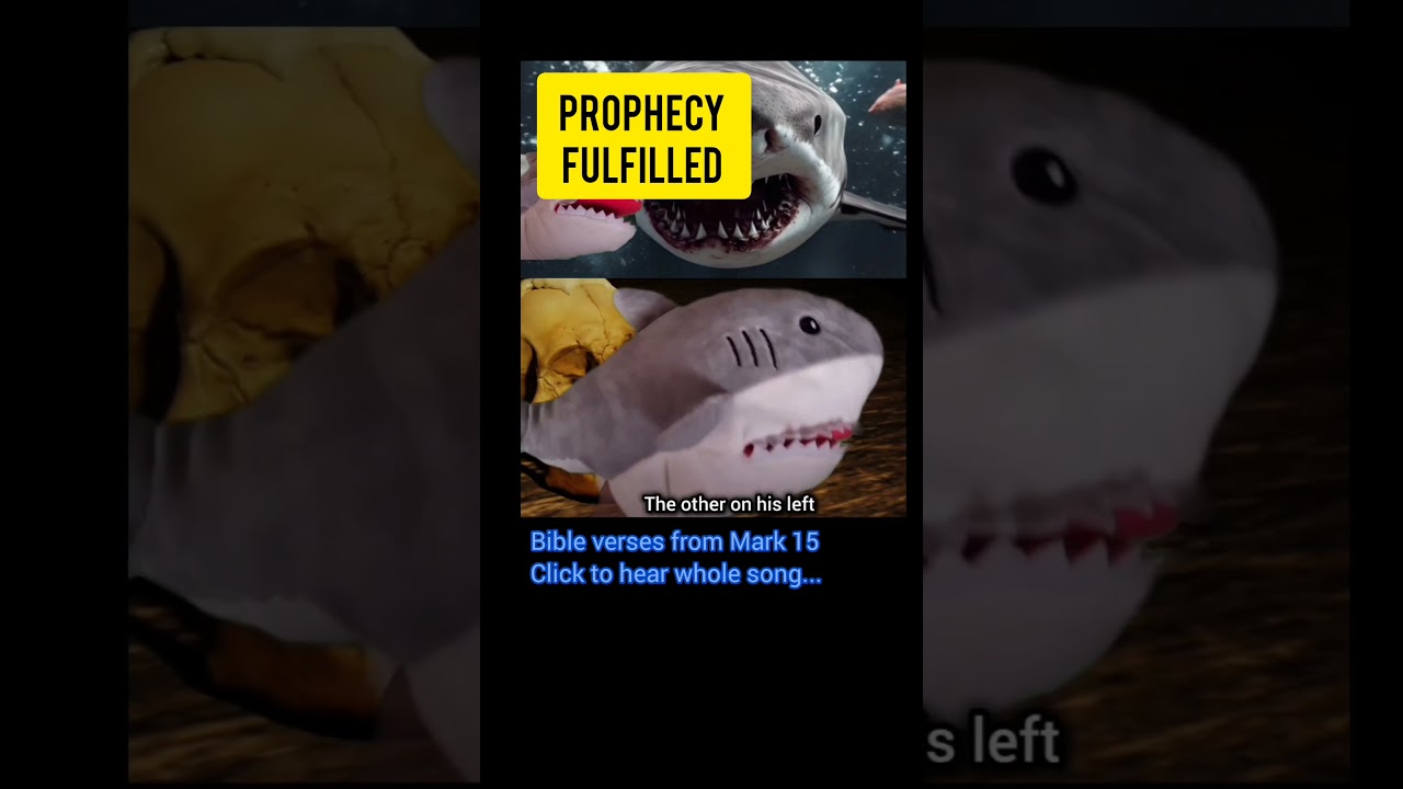 One of 500+ Old Testament prophecies...