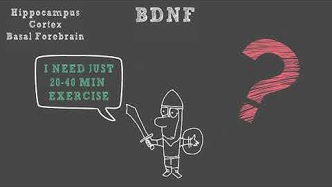 EXERCISE AND THE BRAIN - SPARK BY JOHN RATEY ANIMATED BOOK SUMMARY