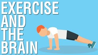 Exercise And The Brain - Spark By John Ratey Animated Book Summary