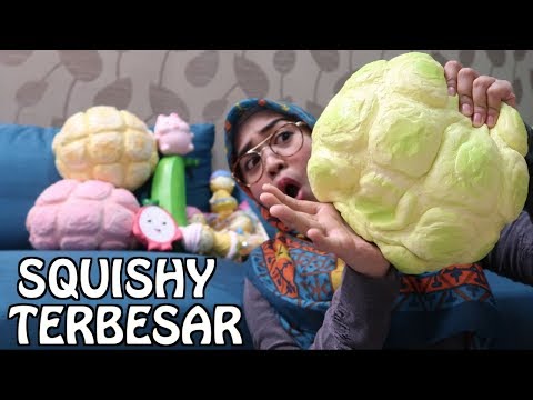 SQUISHY HAUL - SQUISHY TERBESAR DI DUNIA!